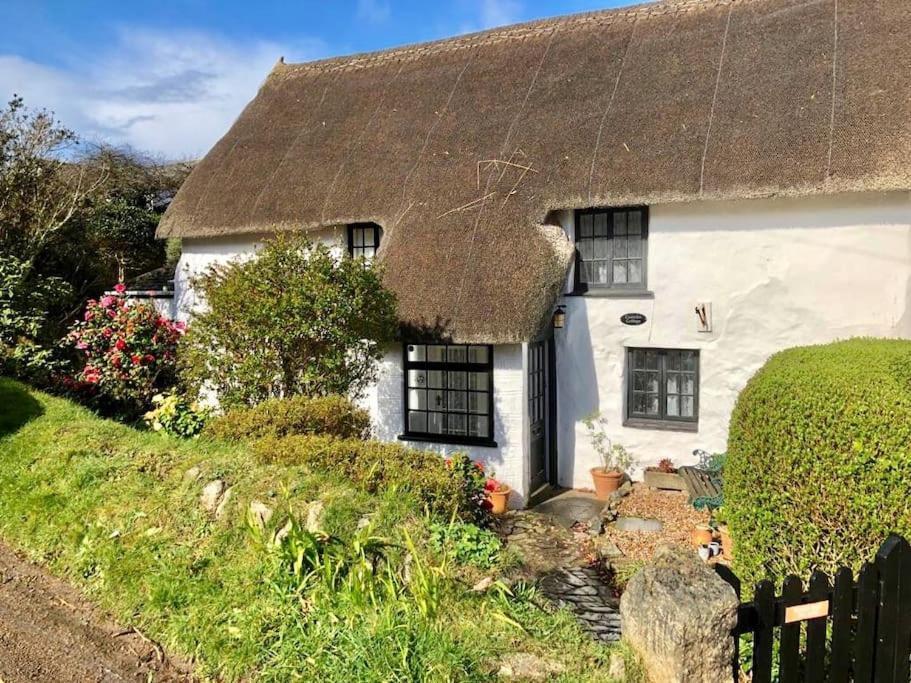 Coombe Cottage セント・アグネス エクステリア 写真
